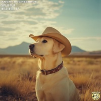 Wild West - Single - Spekter