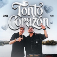 Tonto Corazón - Single - cumbia rocha & Pushi