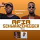 Afia Schwarzenegger Remix feat Teephlow Quamina Mp Jaredo Single