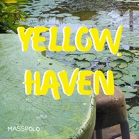 Yellow Haven - Single - Masspolo
