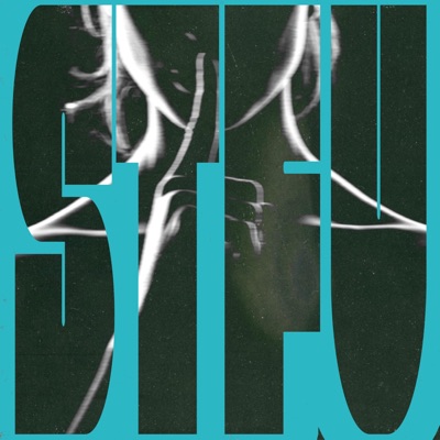 STFU: The Remixes - Single