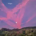 FULGOR