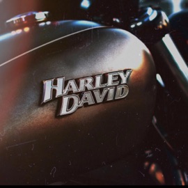 harley david Black$hear