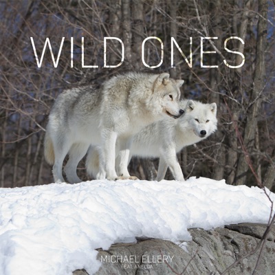 Wild Ones - Single