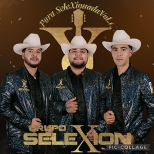 Pura SeleXionada, Vol. 1 - EP