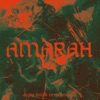 Amarah (feat. OG Avamato) - Single