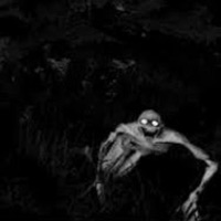 SKINWALKER - Single - VXNGXANCE