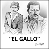 El Gallo Salsero artwork