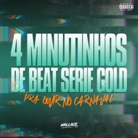 4 MINUTINHOS DE BEAT SÉRIE GOLD PRA OUVIR NO CARNAVAL 2025 - Single - Wallace DJ