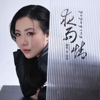 夜雨情 - Single - 花僮