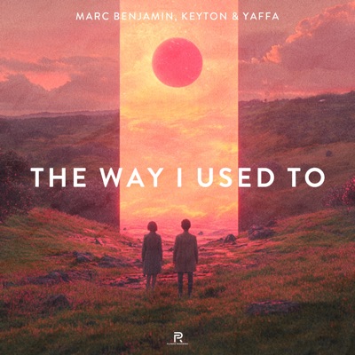 The Way I Used to - Single