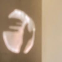 Control - Single - Van