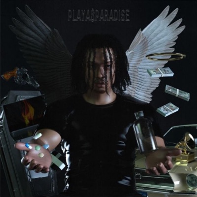 PLAYA$ PARADISE