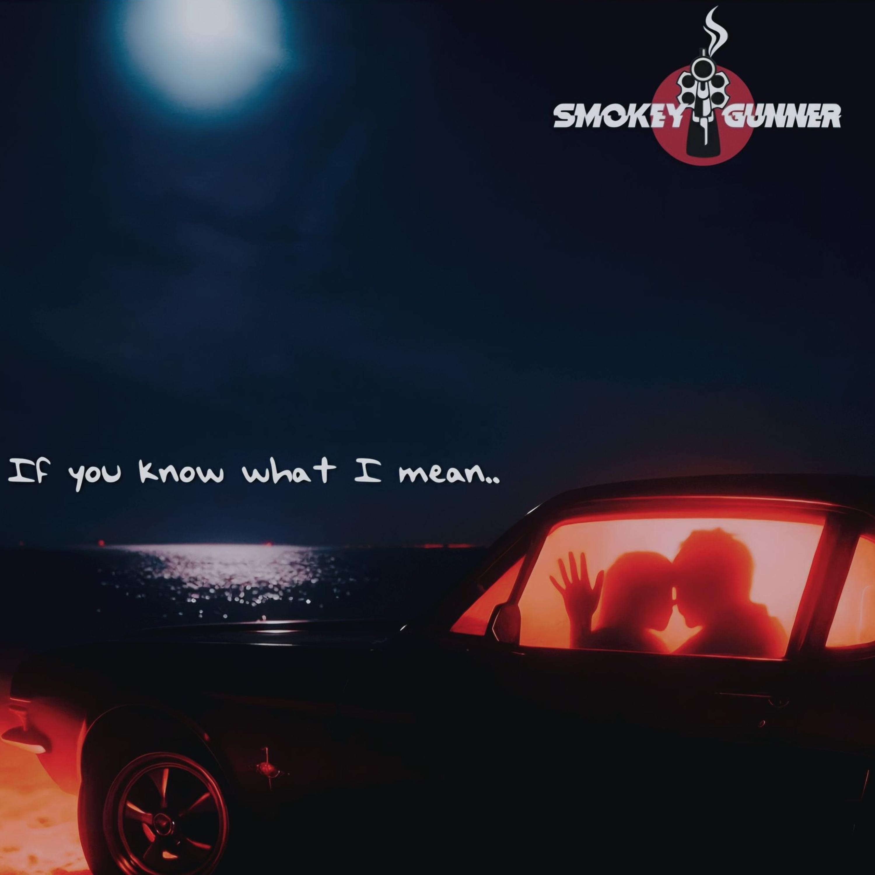 If you know what I mean - Single