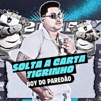Solta a Carta Tigrinho - Single - Boy Do Paredão