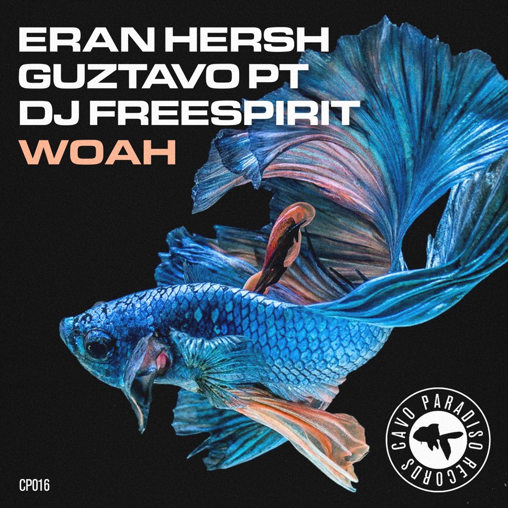 Обложка альбома «Woah - Single» — Eran Hersh, Guztavo PT & Dj Freespirit