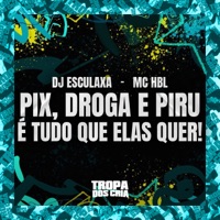 Pix, Droga e Piru É Tudo Que Elas Quer! - Single - Dj Esculaxa, MC HBL & Tropa dos Cria