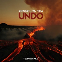 Undo - Single - Cricket & YA NINA