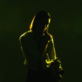 Притяженья больше нет YOUNG LARI