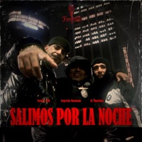 Salimos por la noche (feat. Steven TCR & Nikoprod) - Single - Forajidos Records, EL MANCHAS & Coqeéin Montana