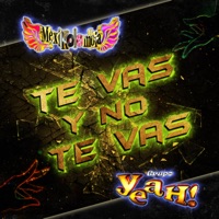 Te Vas y No Te Vas - Single - Mexikolombia & Grupo Yeah!