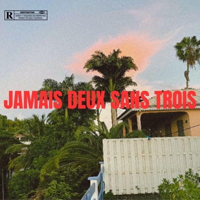 Jamais deux sans trois - Single