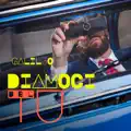 Diamoci del tu