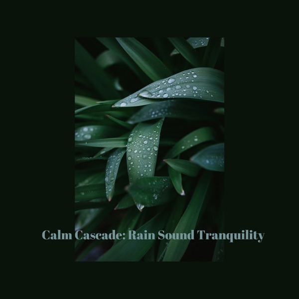 Calm Cascade: Rain Sound Tranquility - Single