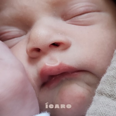 Ícaro - Single