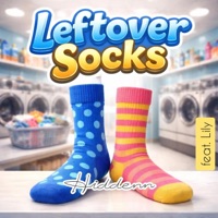 Leftover Socks (feat. Lily) - Single - Hiddenn