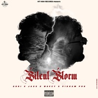 Built To Last - Single - gURi & Vikram Pro