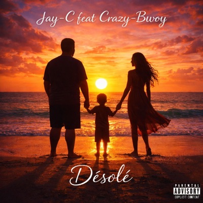 Désolé (feat. Jay-C) - Single