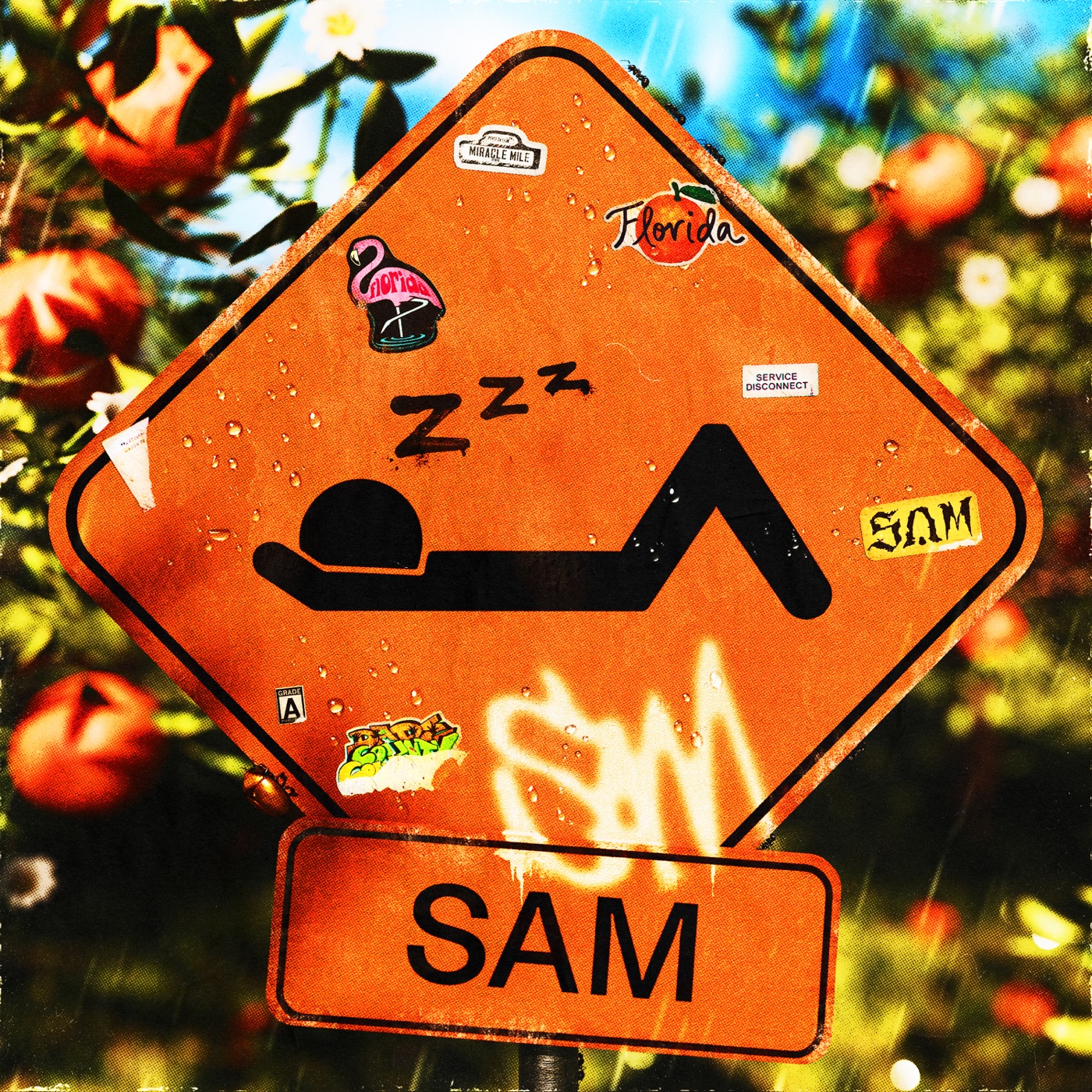 SAM by Zzz.