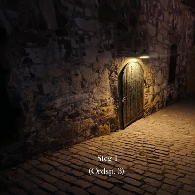Steg 1 (Ordsp. 3) (feat. Kontrabandz) - Single