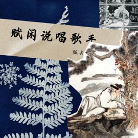 赋闲说唱歌手 Solitary vector