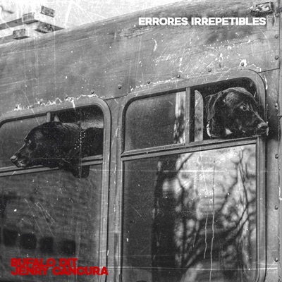 Errores Irrepetibles - EP
