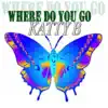 Where_Do_You_Go