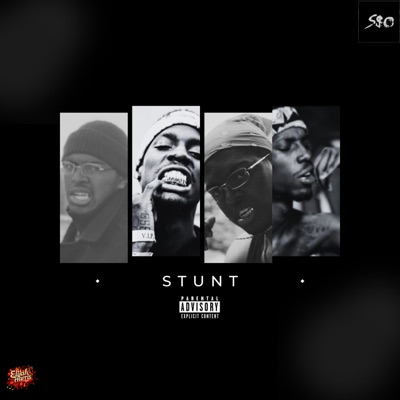 Stunt (feat. WillThaRapper) - Single
