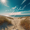 Wonderful Days - Drunken Beats