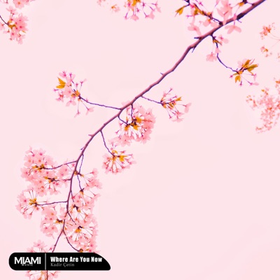 Where Are You Now - Single