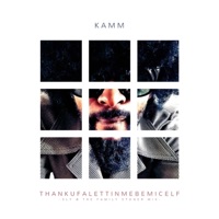 ThankUFaLettinMeBeMiceLF (Sly & The Family Stoner Mix) - Single - Kamm