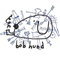 #bobhundopera (Live) - Bob Hund & Malmö Opera Orchestra