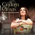 Su Gelir Guldur Guldur