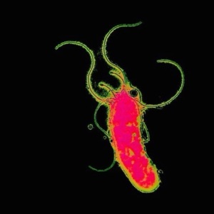 allergy season - Single