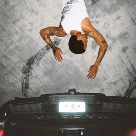 Agnes Kruel Tony Velour