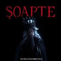 Șoapte (feat. Faye) - Single - FWLX