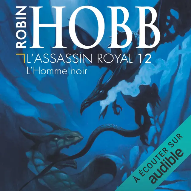 L'homme noir: L'Assassin Royal 12