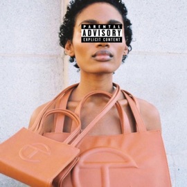 TeflaronhaBag 1CQuan