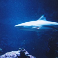 pistris - Single - digitalluc & Wun Two