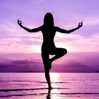 Vinyasa - Single - Lamat 8